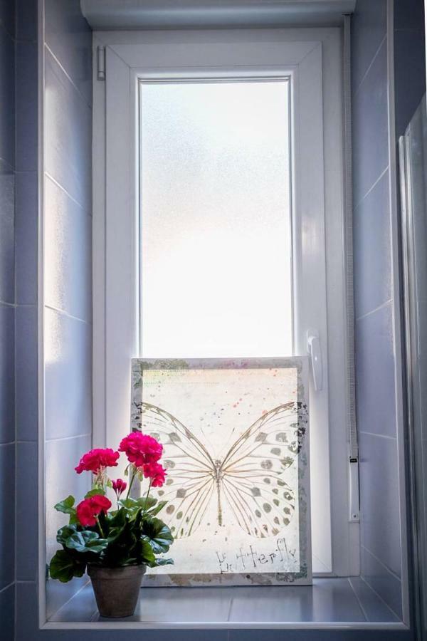 Apartman Vidi Διαμέρισμα Ριέκα Εξωτερικό φωτογραφία